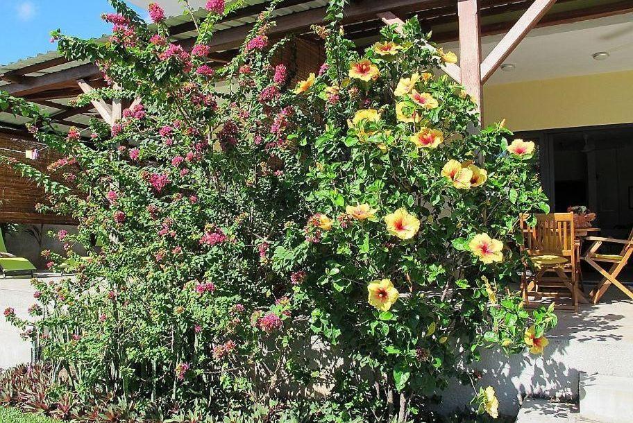 Villa Des Frangipanes La Gaulette Ngoại thất bức ảnh